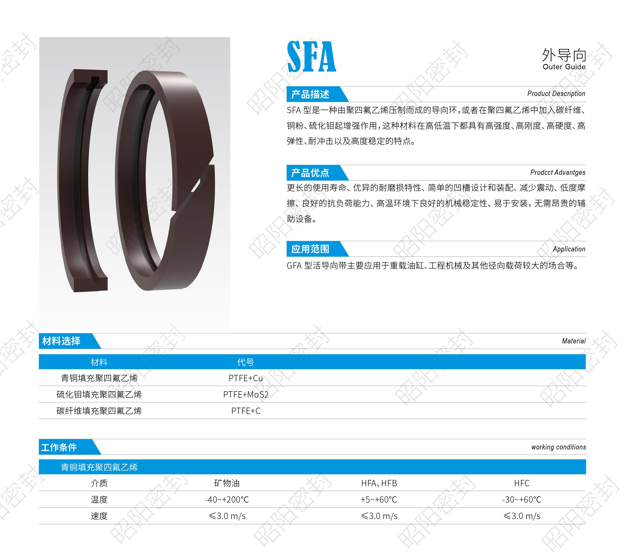 SFA 外导向.jpg