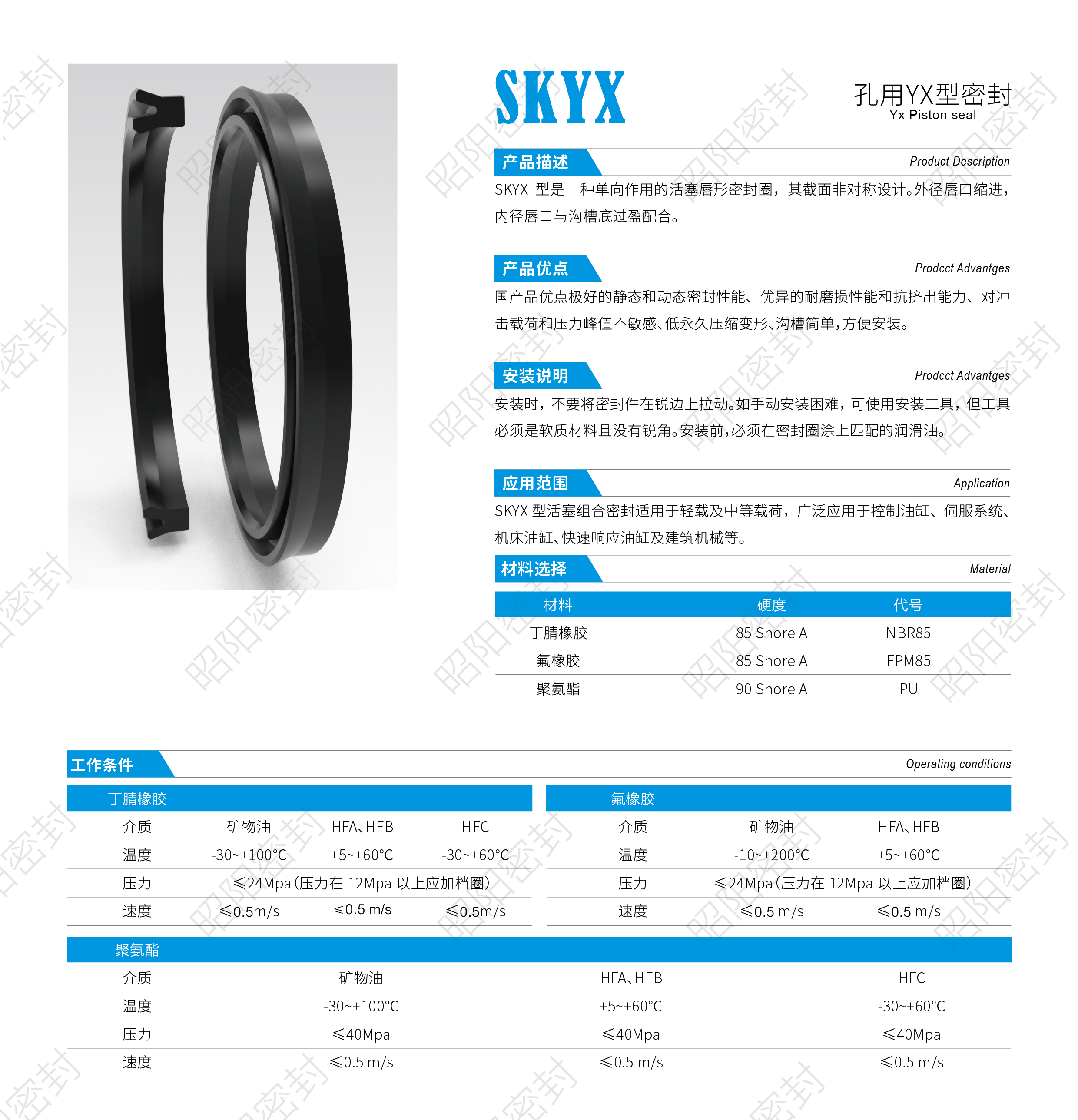 SKYX.jpg
