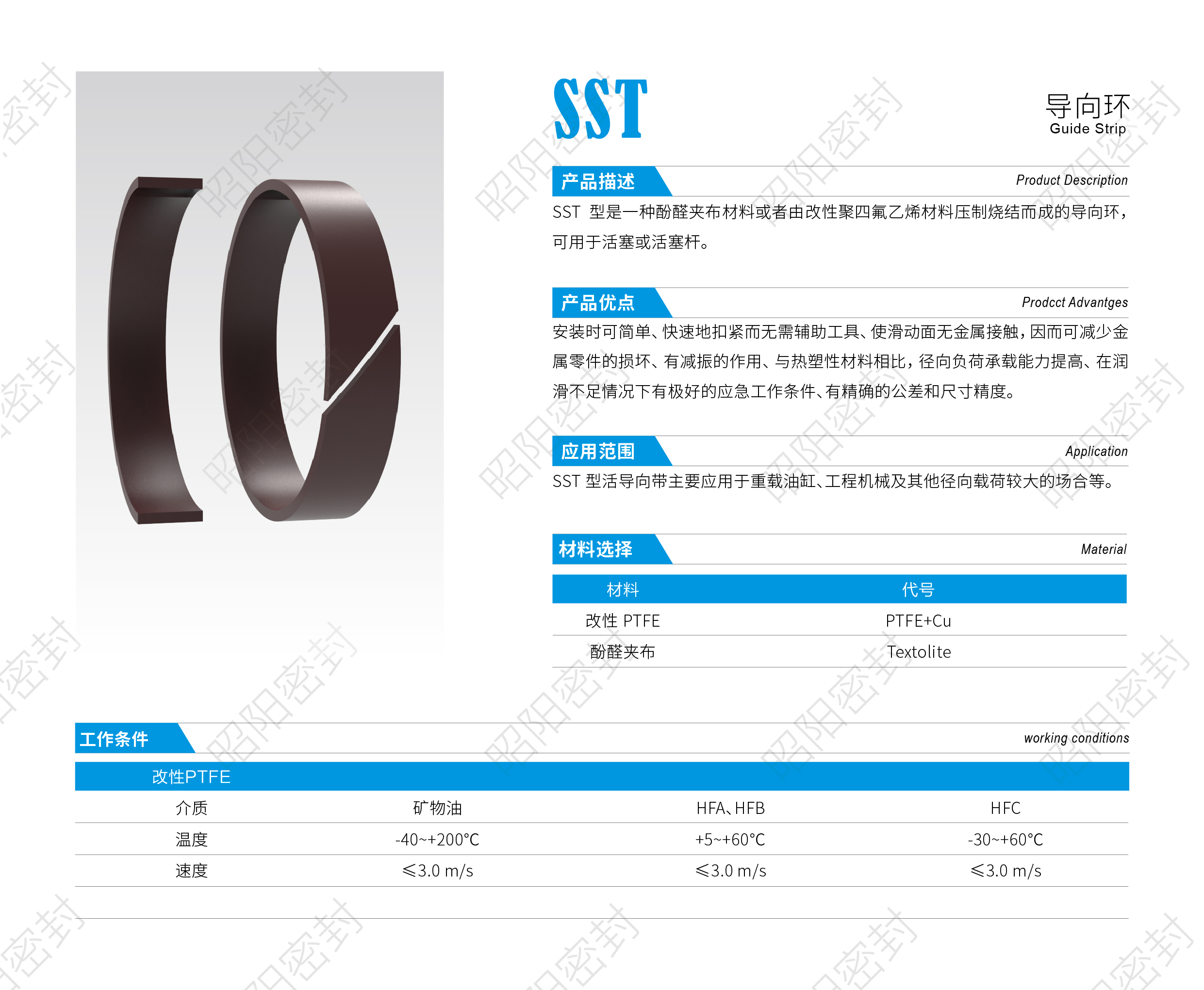 SST导向环.jpg